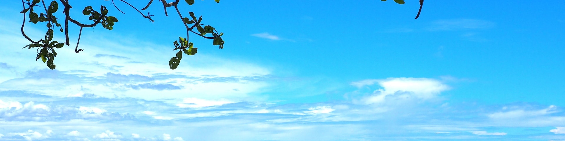 The perfect beach. Dumaluan, Panglao island