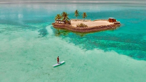 A beautiful day to spend at the beach of Mithi Resort and Spa (@mithiresortandspa) in Dauis, Bohol.
#morefuninthephilippines
#beachtips