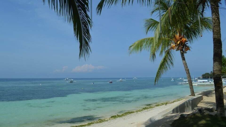 A beach with clear turquoise water, palm trees, and boats in the distance.