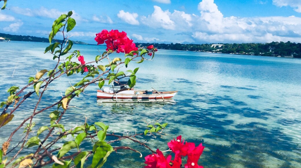 The beauty of the view from this bridge compelled us to stop to take a photo!
