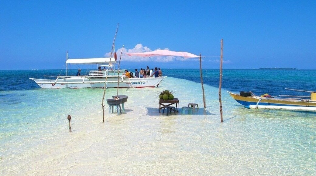 Virgin Island in bohol is one of the best sand bar ive ever seen, Worthwhile experience. The sandbar is good for taking photos. Please bring extra money to buy from the locals who sell refreshments (coconut juice) and pearls .
#beachtips
#BVSBlue
#beachlover
#virginislandbohol