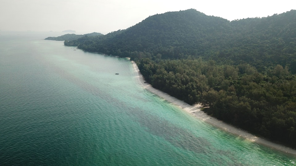 A coastal landscape with a clear turquoise sea, a sandy beach, and dense forested hills.