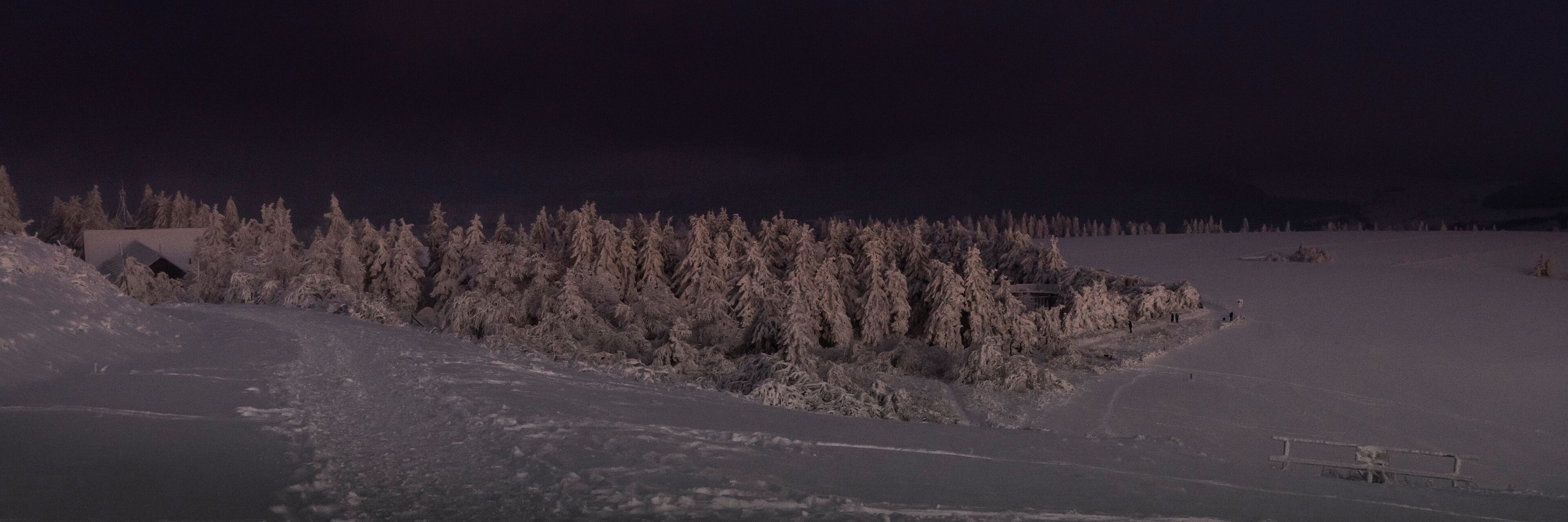 A snow-covered landscape with a forest and a building.