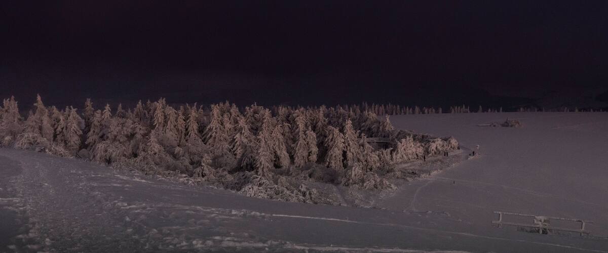 A snow-covered landscape with a forest and a building.