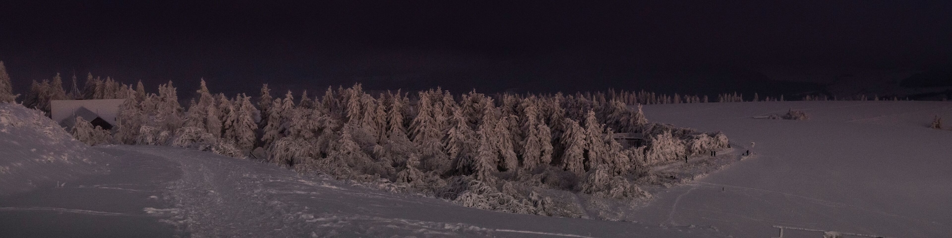 A snow-covered landscape with a forest and a building.