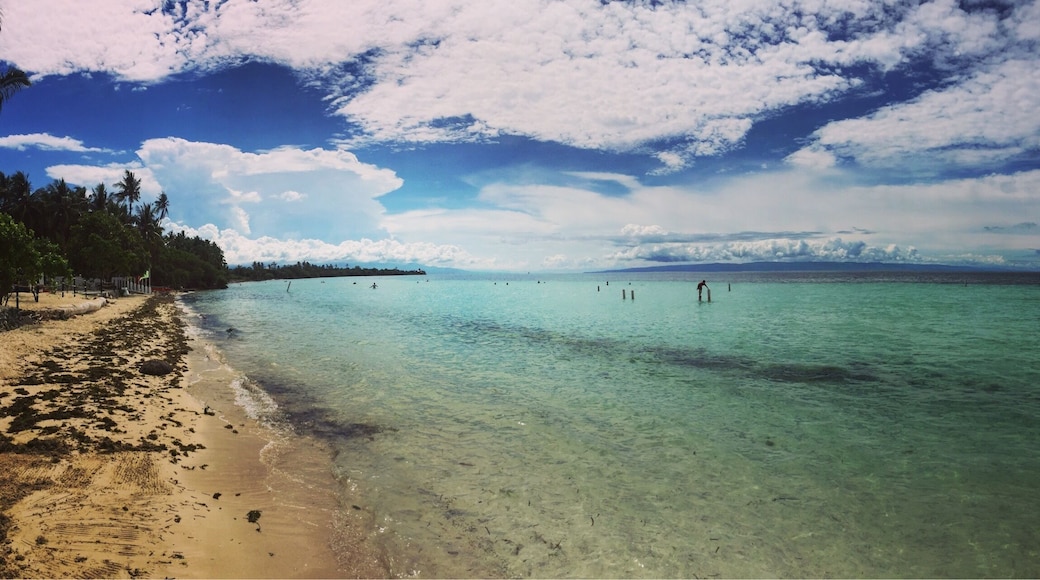 What an island Siquijor is - pure beauty. Tori’s paradise is a hidden sanctuary right on the white sandy beach - it’s a must see #BeachTips #beach #philippines #asia #beach #paradise #travel