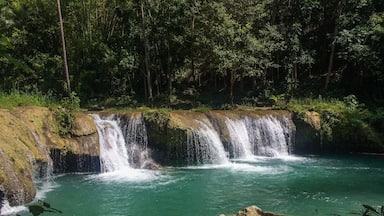 A waterfall cascading over a rocky ledge into a clear turquoise pool surrounded by dense forest.