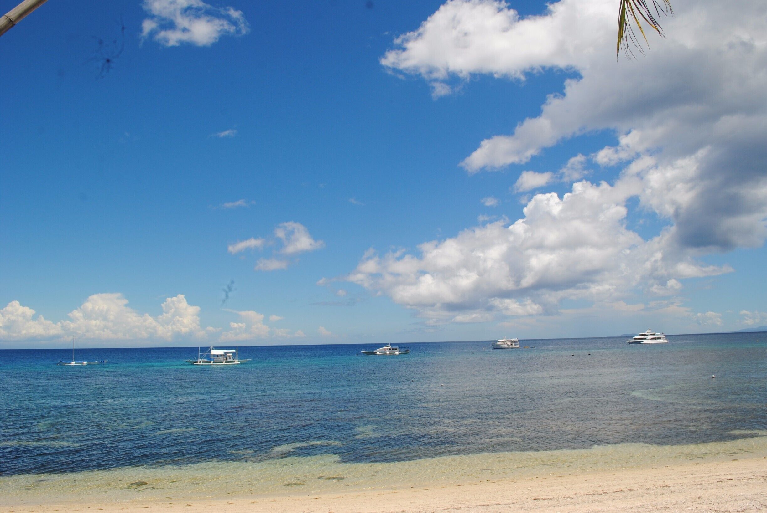 Thought to be an enchanted island.  People come for love potion.  I came for the beach.  Just the same, it was enchanting.

#blue