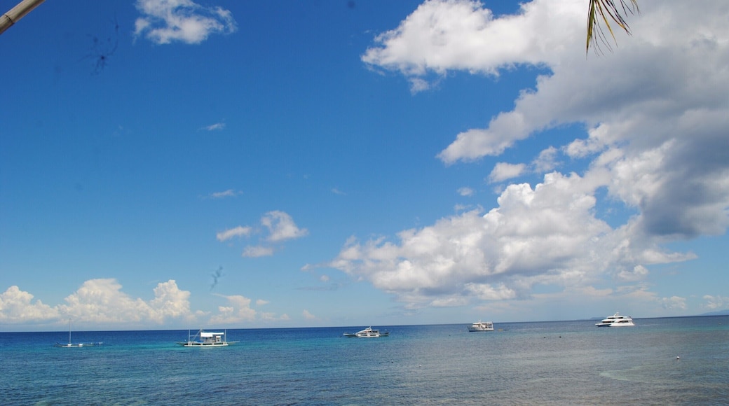Thought to be an enchanted island. People come for love potion. I came for the beach. Just the same, it was enchanting.
#blue
