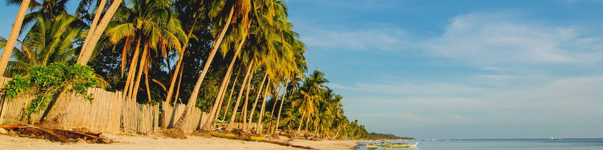 Paliton Beach, San Juan, Siquijor. Shot of golden sand beach and coconuts.