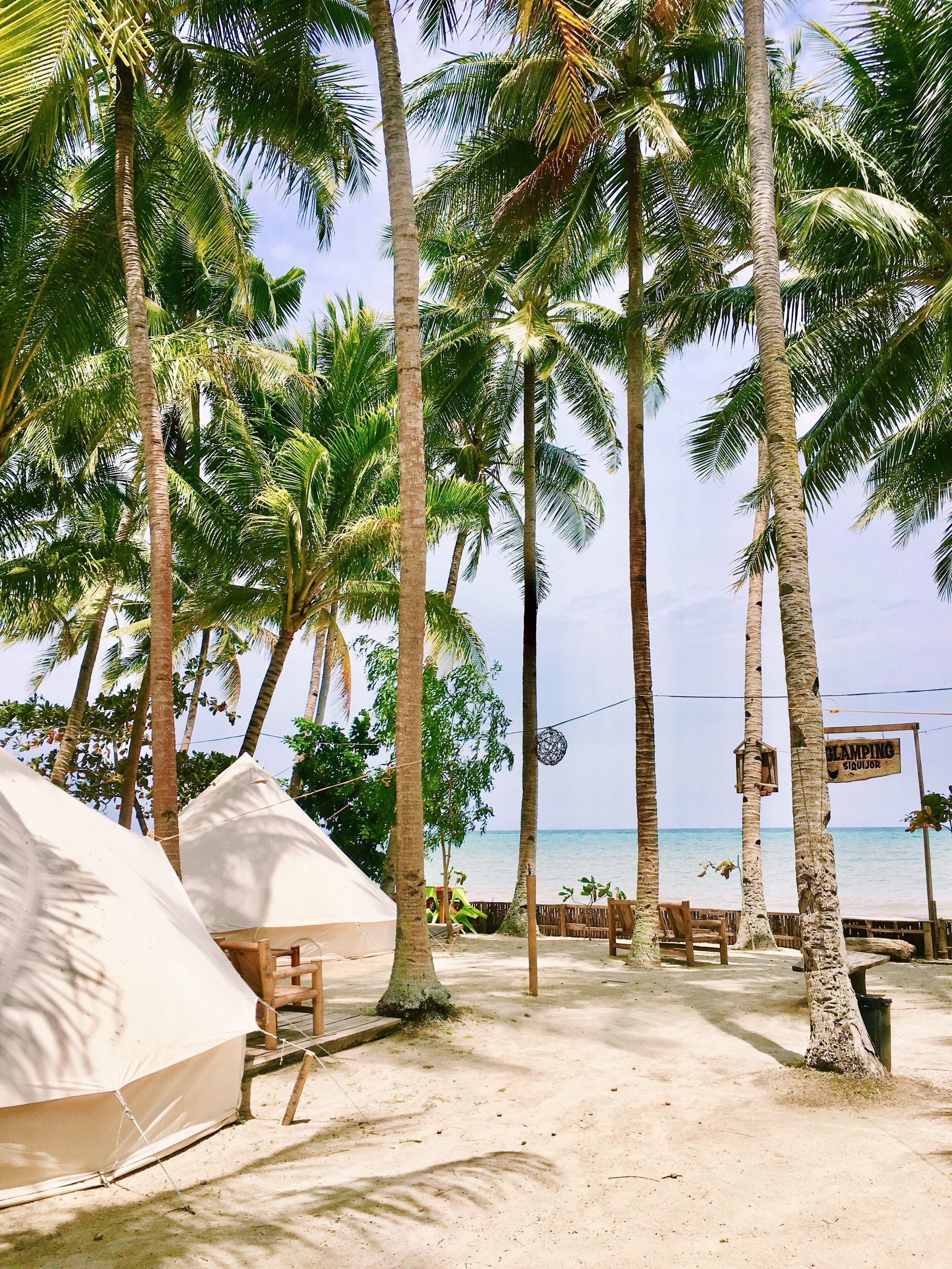 A beach with palm trees, a sign reading "BLAMPING SQUILJOR", and a tent.