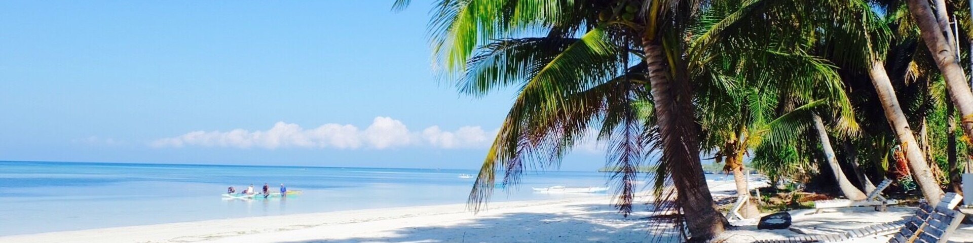 Una playa con arena blanca, palmeras y sillas de descanso.