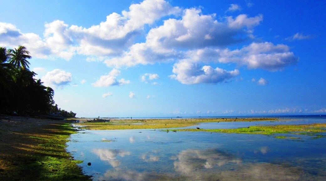 The calm low tide in the morning becomes a mirror to the clear #blue skies.