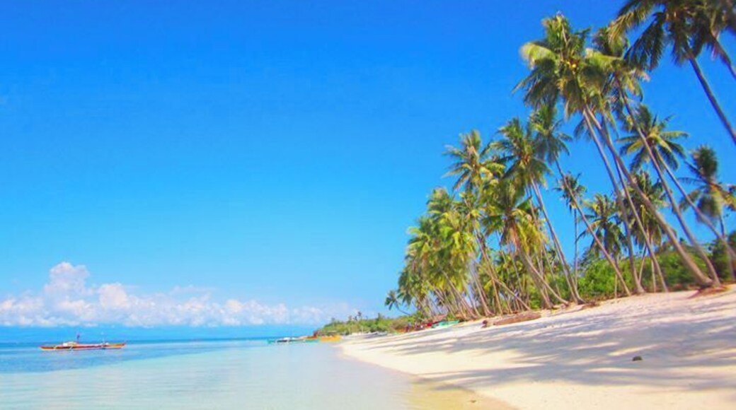 The inviting calm #blue waters is like a giant swimming pool in this public beach in Siquijor Island.