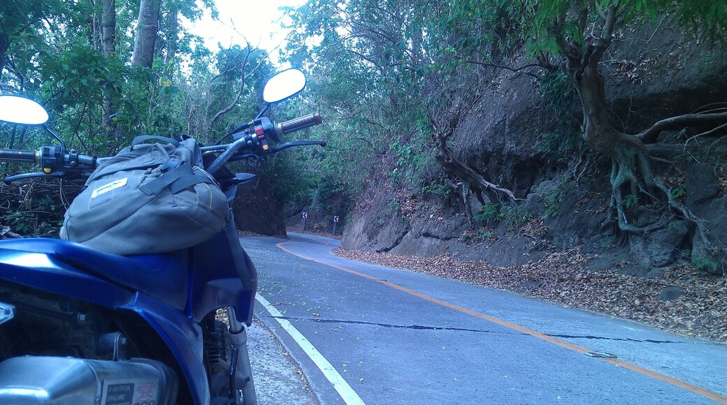 The road is literally downward spiral. Another near death experience.