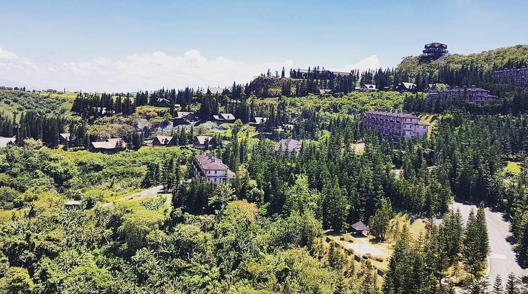 Stunning mountain resort in Tagytay Highlands
#LifeAtExpedia
#Green