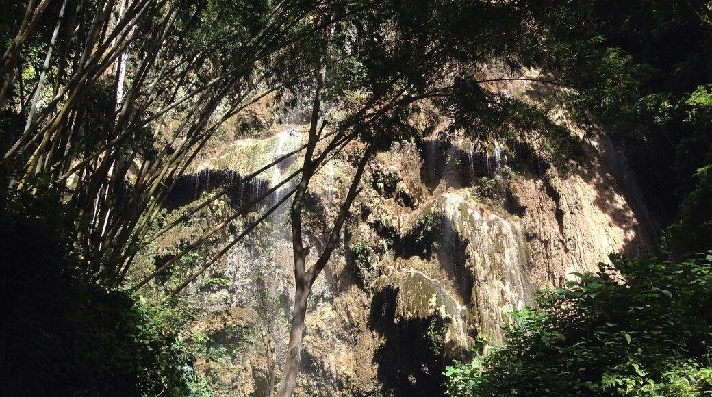 Tumalog Falls is a usual sidetrip after the Whaleshark encounter,10 minutes by "habal habal"(motorcycle).