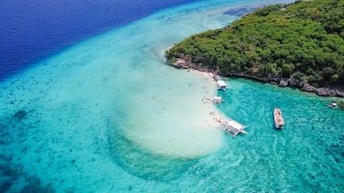 Aerial view of sandy beach with tourists swimming in beautiful clear sea water of the Sumilon island beach landing near Oslob, Cebu, Philippines