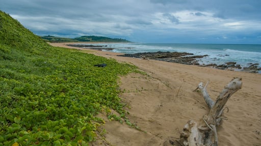 Untamed and less crowded beach of KZN south cioast Durban near Hibberdene