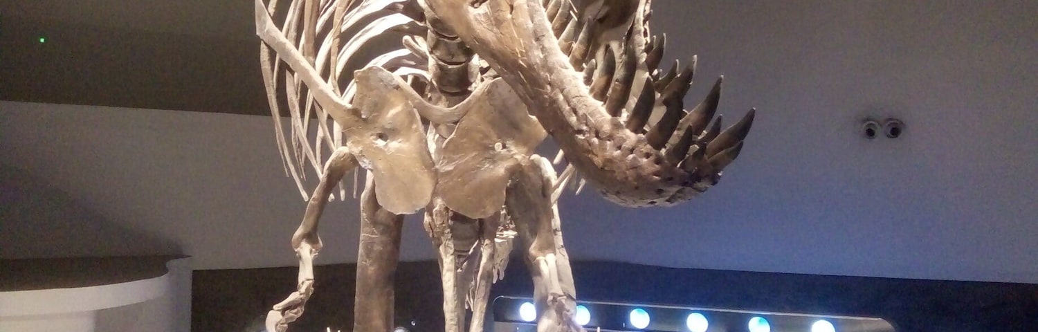 Stan, T-Rex Exhibit with cast made from real fossils 🐲 Visit Mind Museum for more thrilling activities that enhances your knowledge about SCIENCE. 🌎🌋⚡