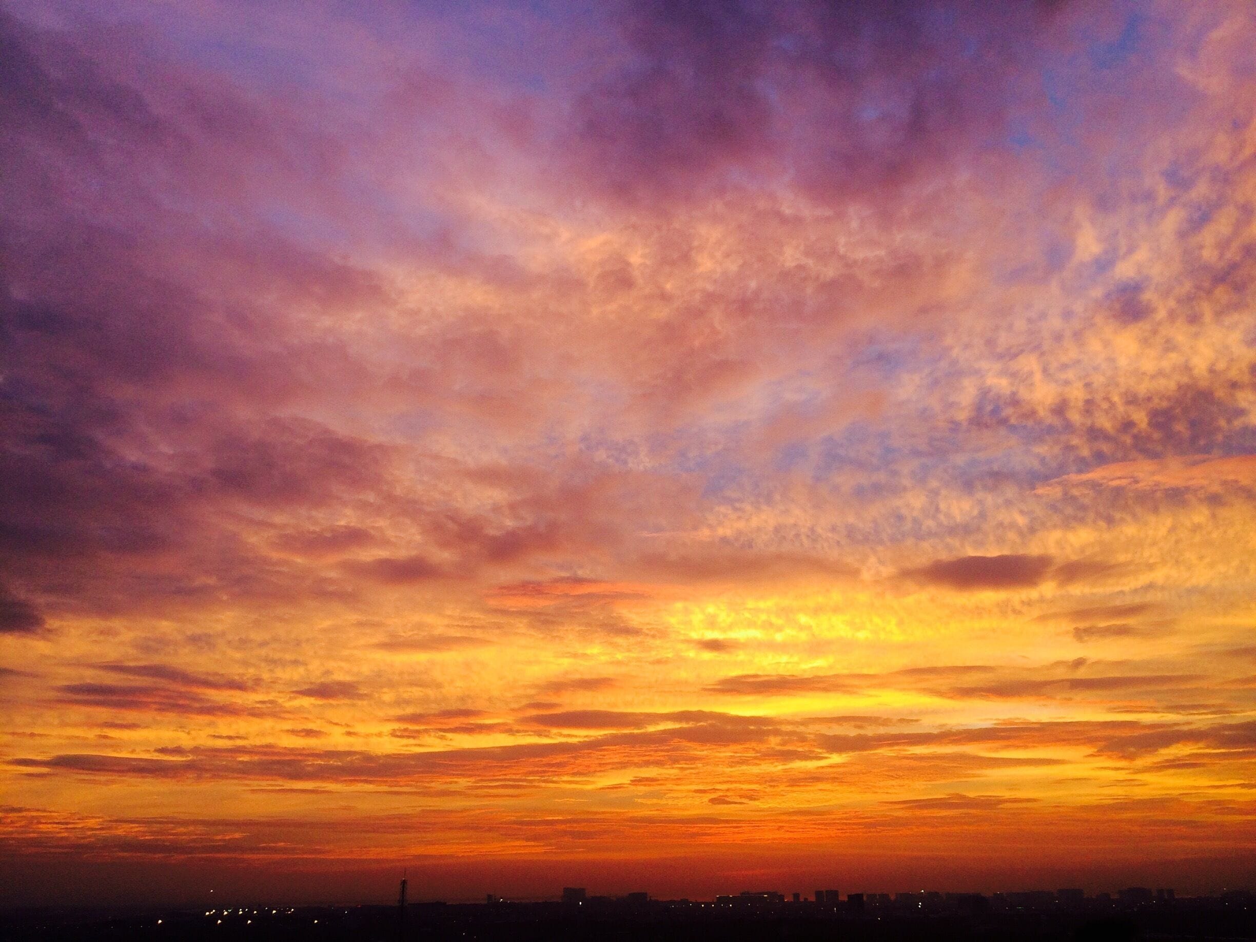 viewed from the rooftop 