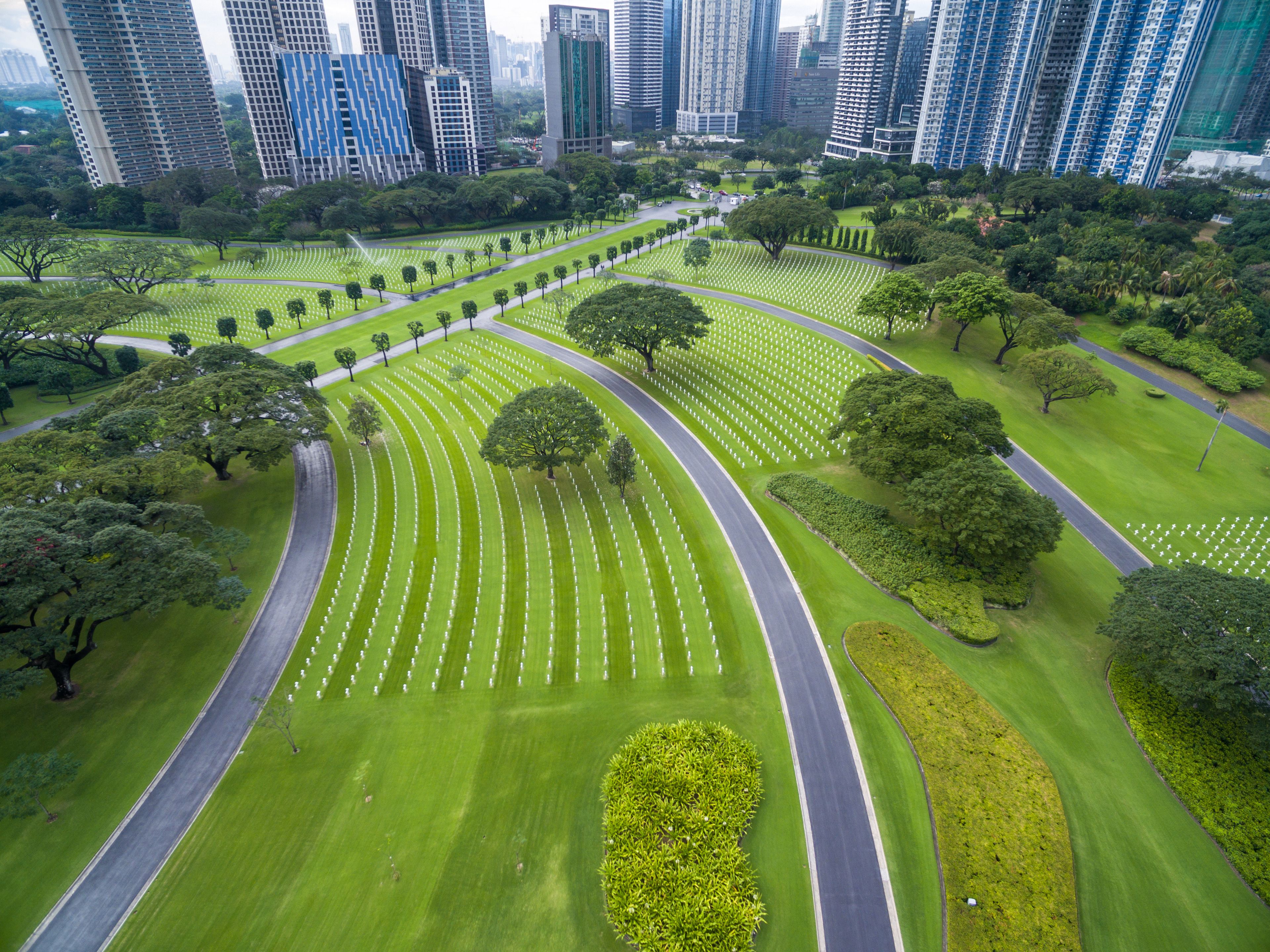 A cemetery with rows of graves, surrounded by trees and greenery, with tall buildings in the background.