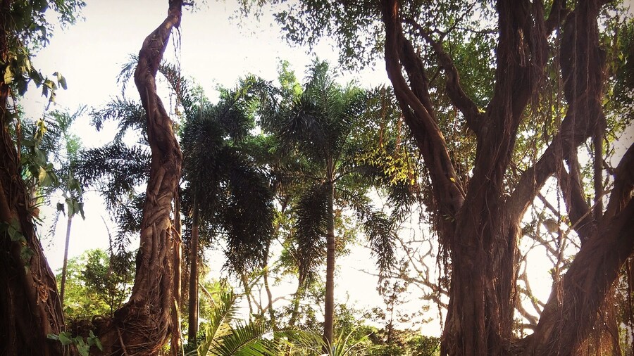 A small garden amphitheater at the Bonifacio Global City.