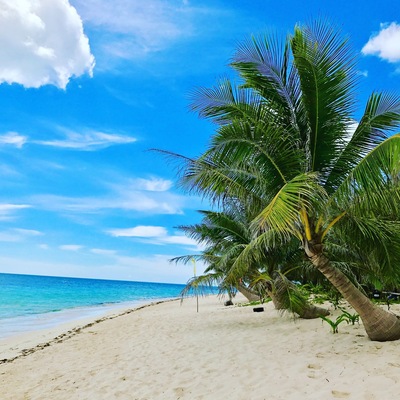Give me a coconut with a straw and I am set for life!