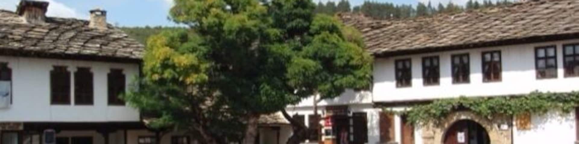 A cobblestone square with traditional buildings, a large tree, and a clear blue sky.