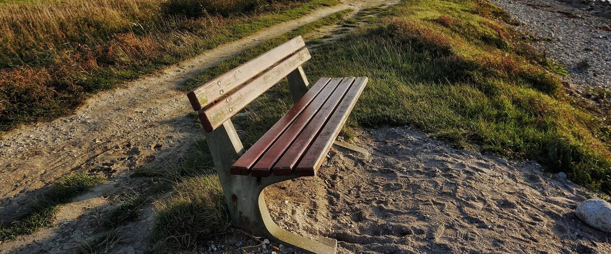 A wooden bench on a sandy path beside a grassy field and a rocky shoreline.