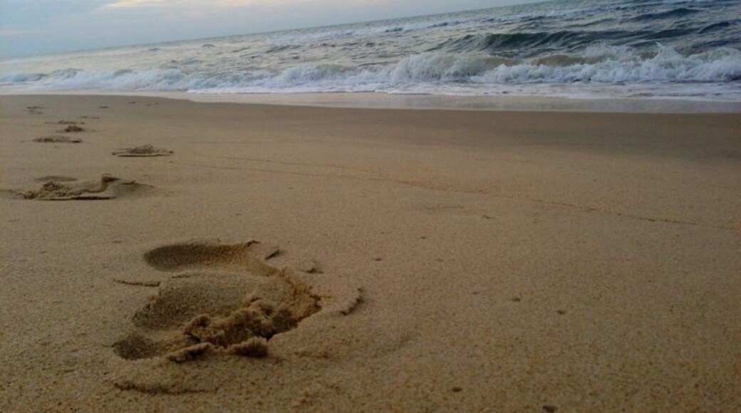I am unsure of what this beach was called but it was completely deserted and had the warmest water. There was one hut where you could get fresh food cooked by locals, such a relaxing day in Vietnam 🇻🇳