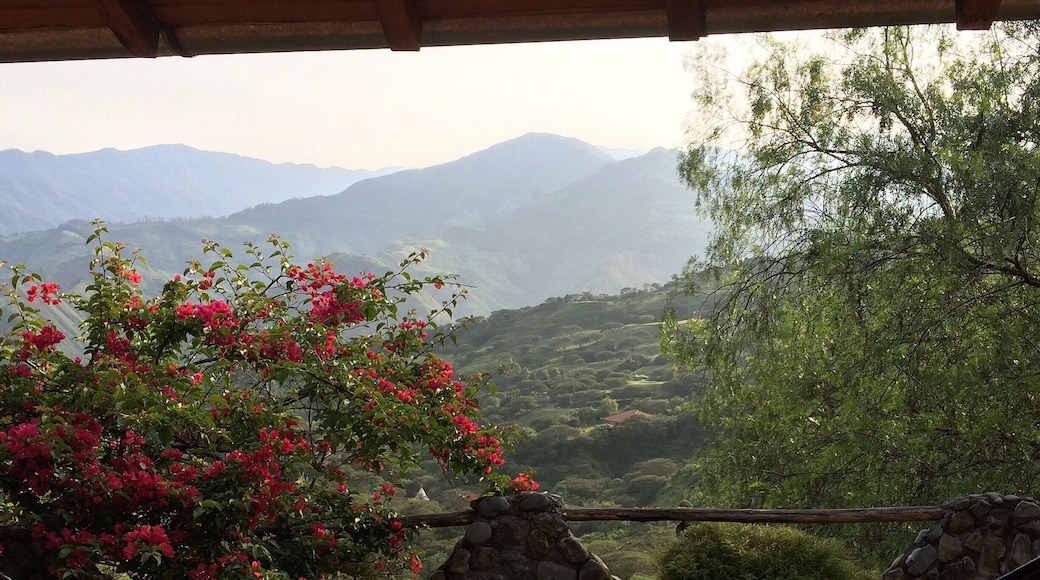View from our terrasse . Dont miss out Vilcabamba in Ecuador.