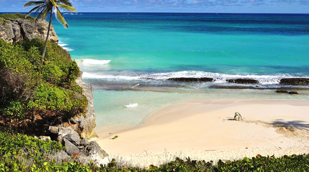 LONG BAY, Barbados