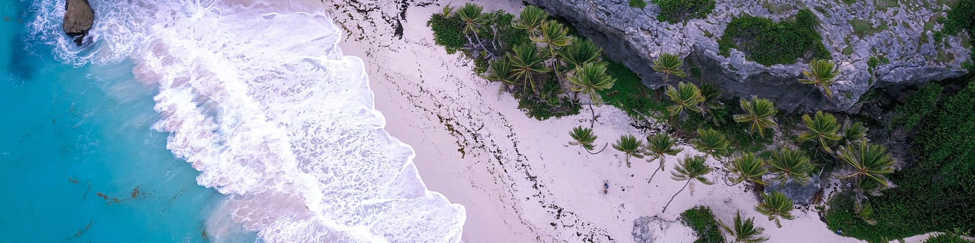 Long Bay Hotel Guide