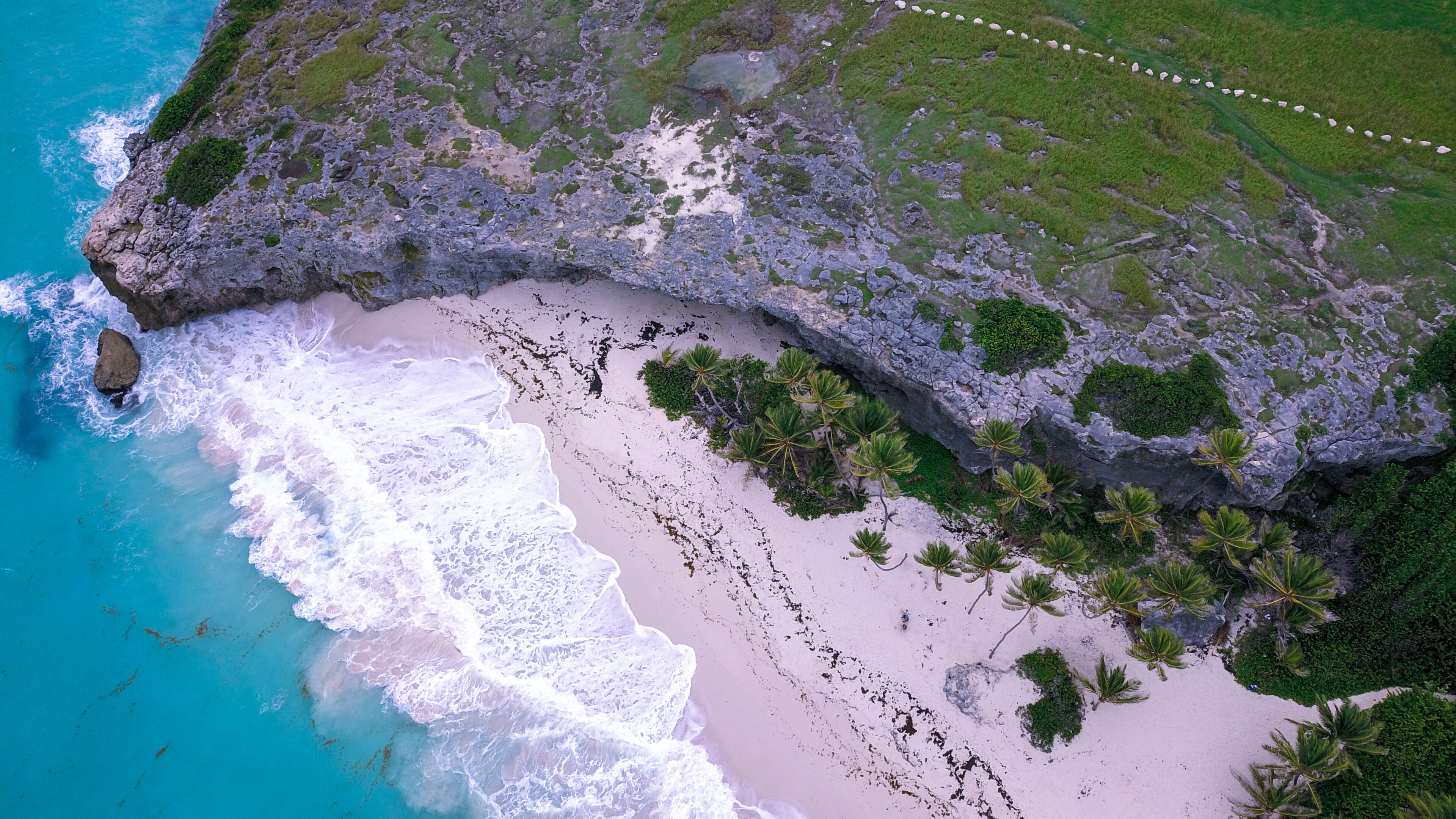A coastal landscape with a sandy beach, rocky cliffs, and sparse vegetation.