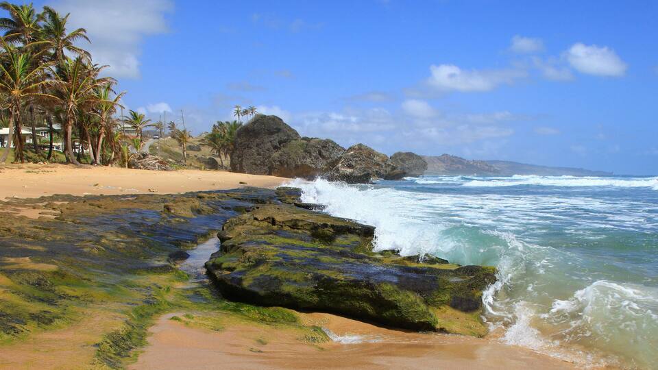 A beach with rocky shoreline, palm trees, and waves crashing onto the sand.
