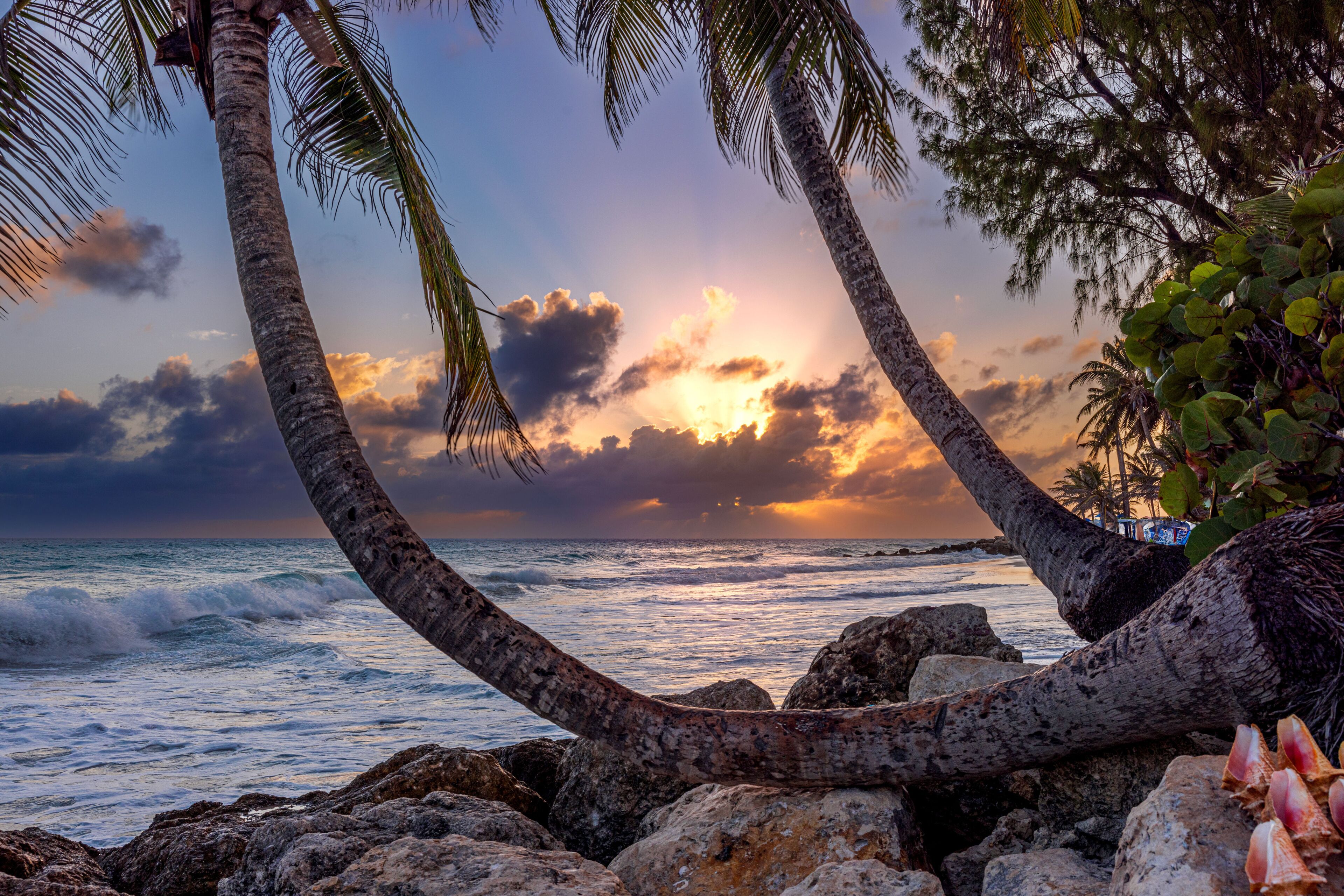 Sunset, Maxwell Beach, Barbados.