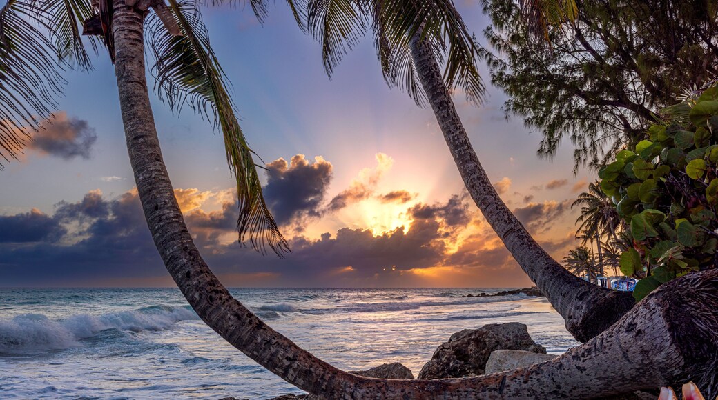 Sunset, Maxwell Beach, Barbados.