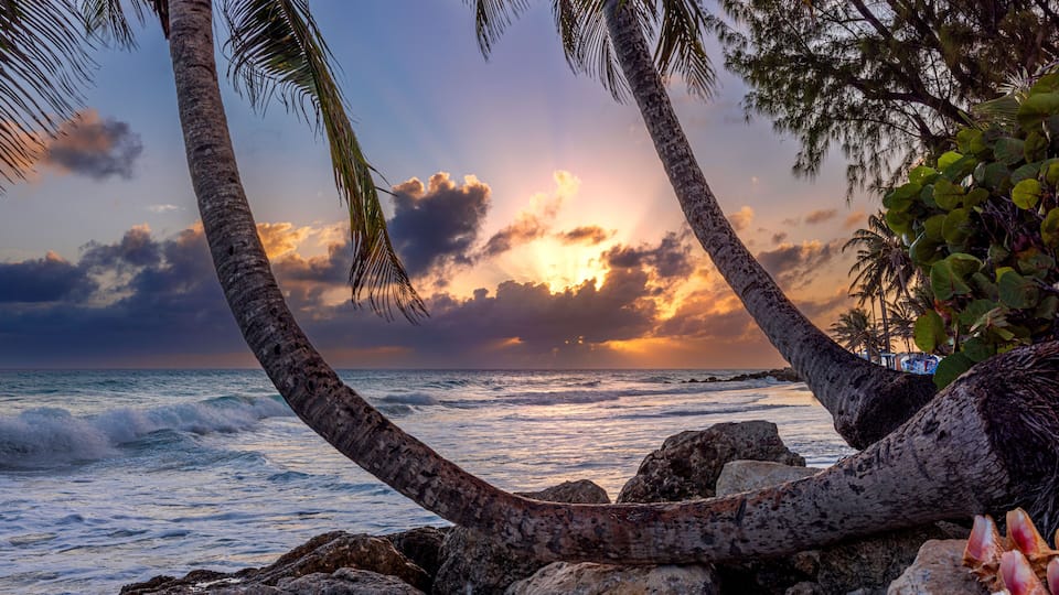 A sunset over the ocean with palm trees and rocks.
