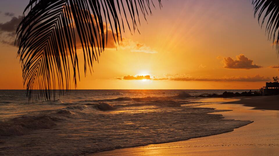 A sunset over a beach with palm trees and ocean waves.