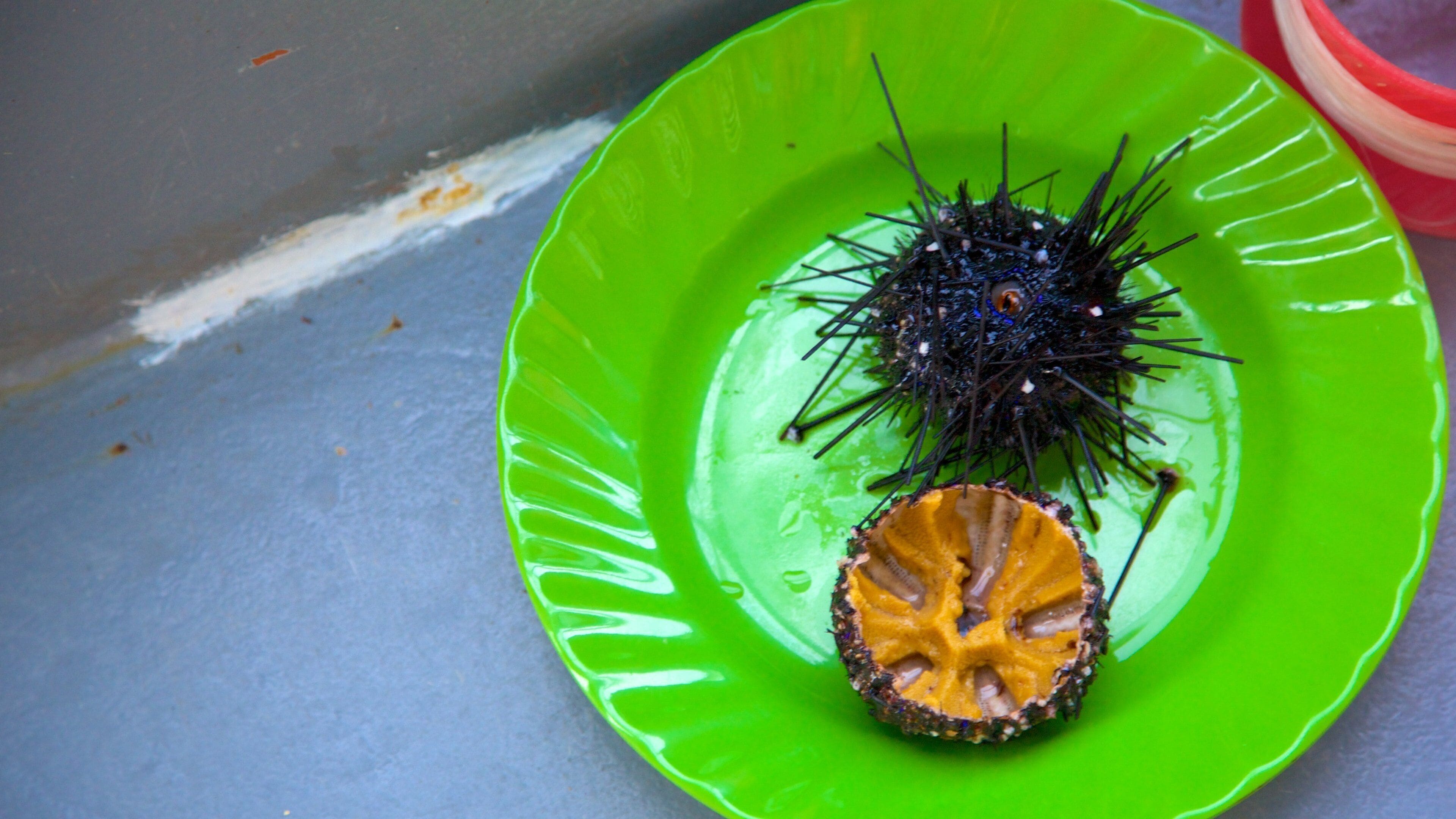 Phu Quoc featuring food