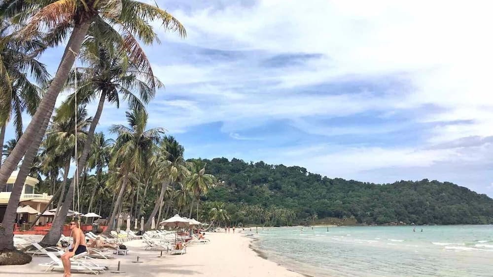Ein Strand mit Palmen, Liegestühlen und blauem Himmel.