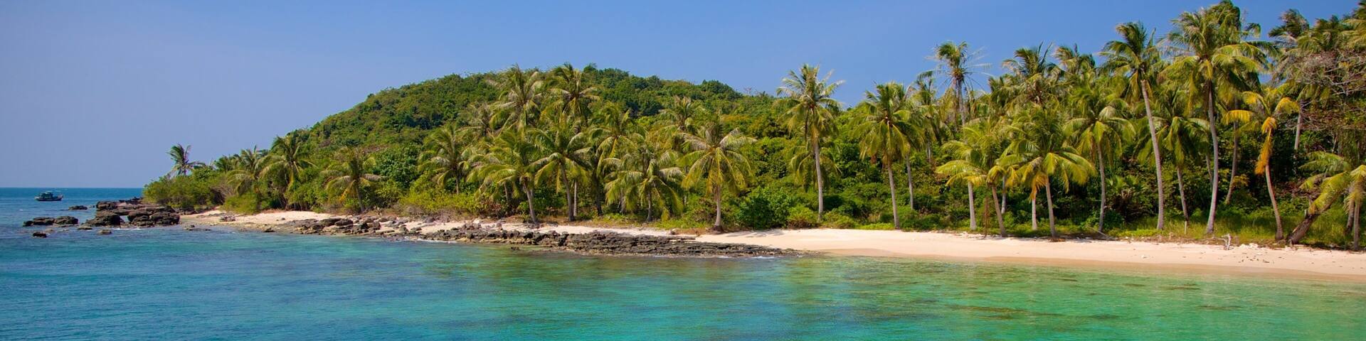 A turquoise sea, a sandy beach, and a line of palm trees on a hillside.