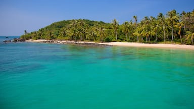 Phu Quoc showing general coastal views, a sandy beach and tropical scenes