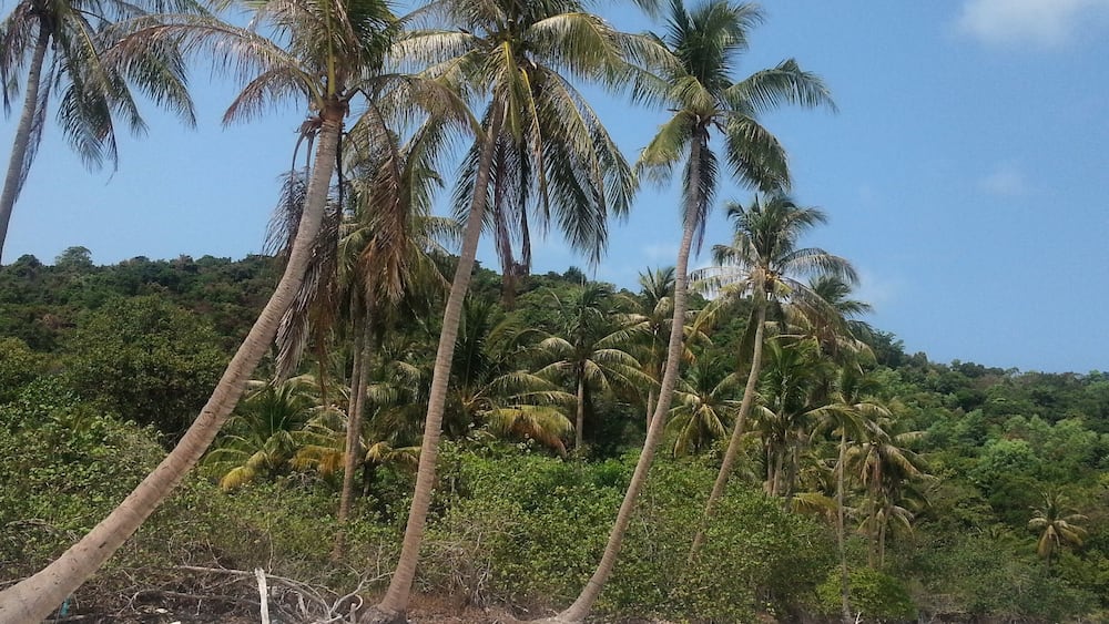 The north end of Bai Sao