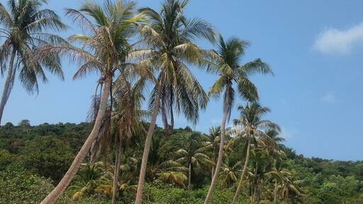 The north end of Bai Sao