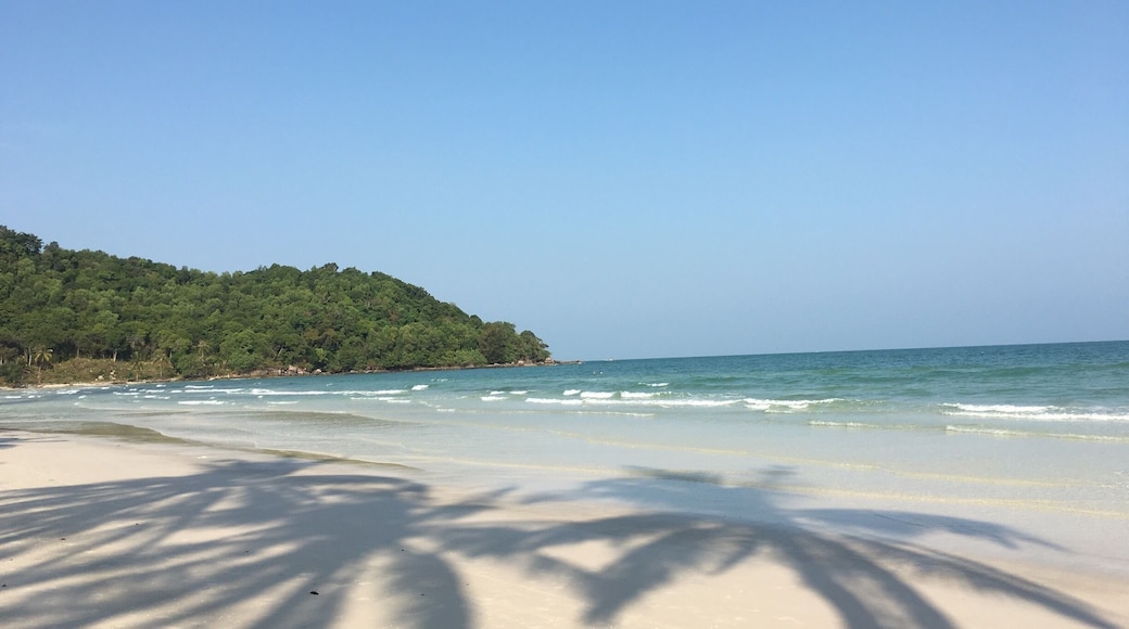 Beautiful Beach 🐠