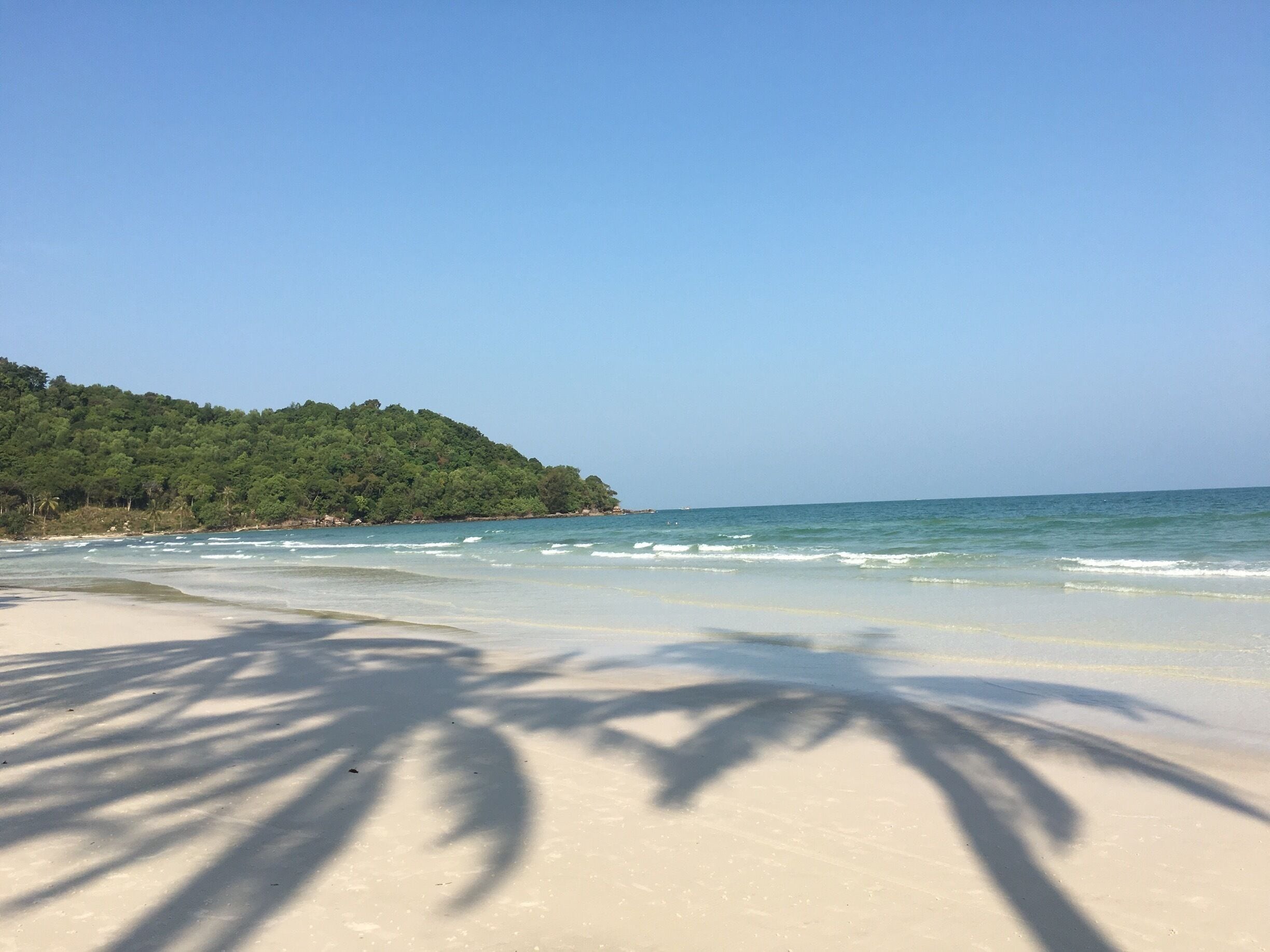 A beach with clear skies, calm waves, and a forested hill in the background.
