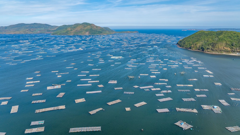 Song Cau Town, Xuan Dai Bay, Phu Yen Province, Vietnam. Aerial view of beautiful coastal village