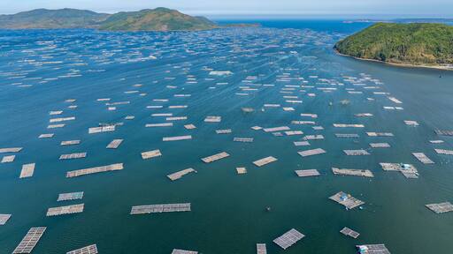 Song Cau Town, Xuan Dai Bay, Phu Yen Province, Vietnam. Aerial view of beautiful coastal village